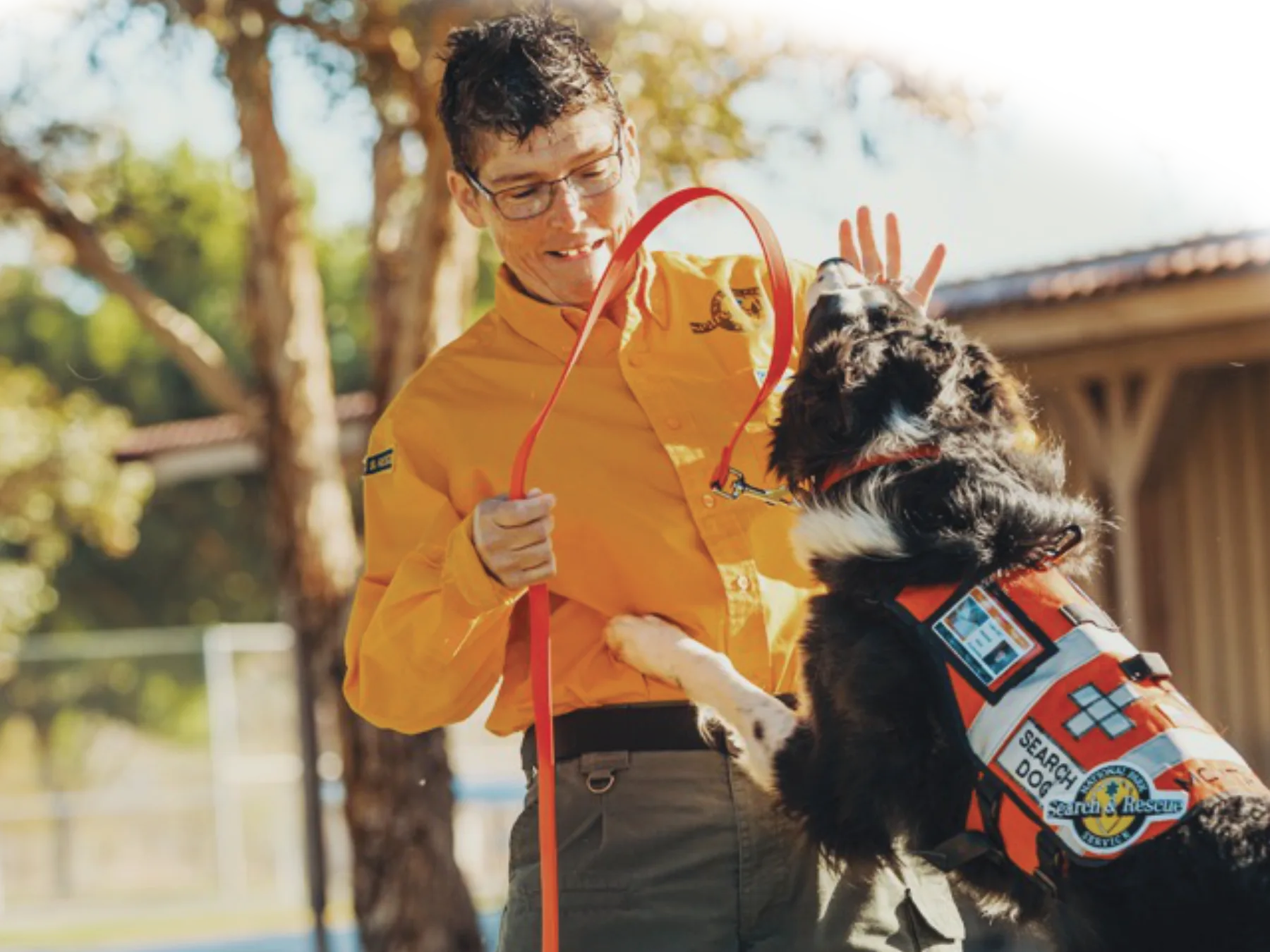 A trainer working two dogs on leash outdoors at Brown County K9