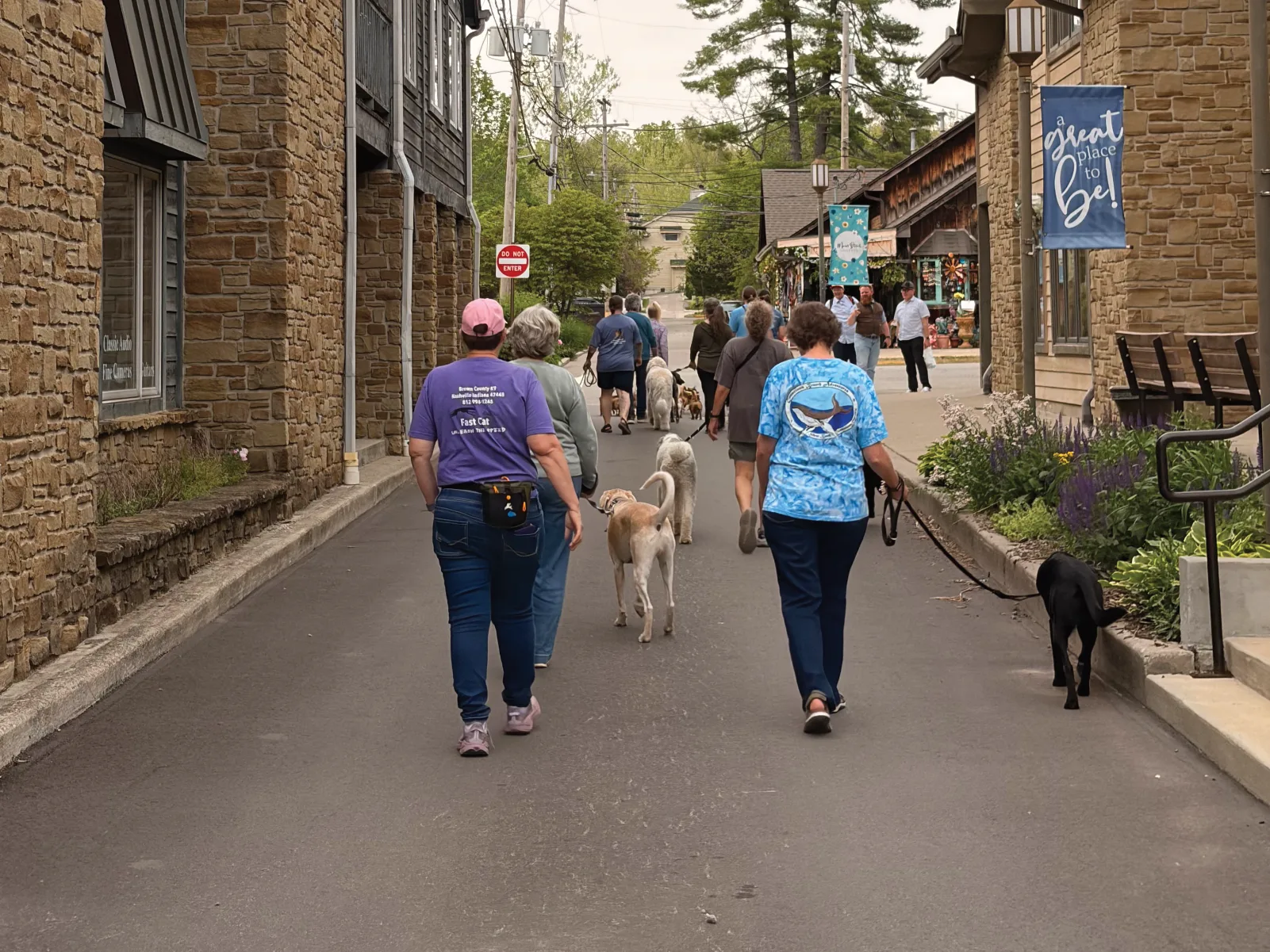 A group walking dogs through downtown Nashville, Indiana