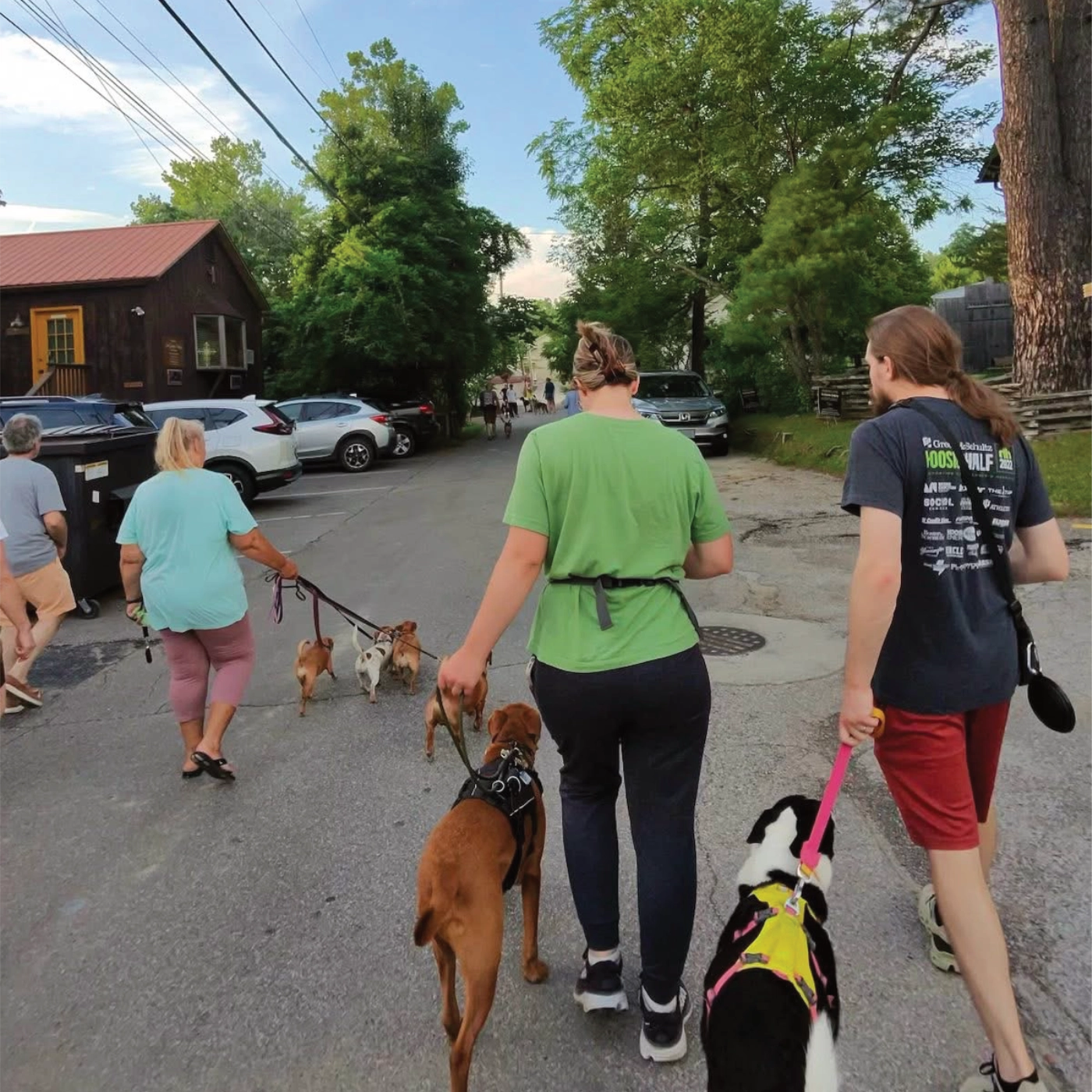 Two handlers walking dogs together on a neighborhood street