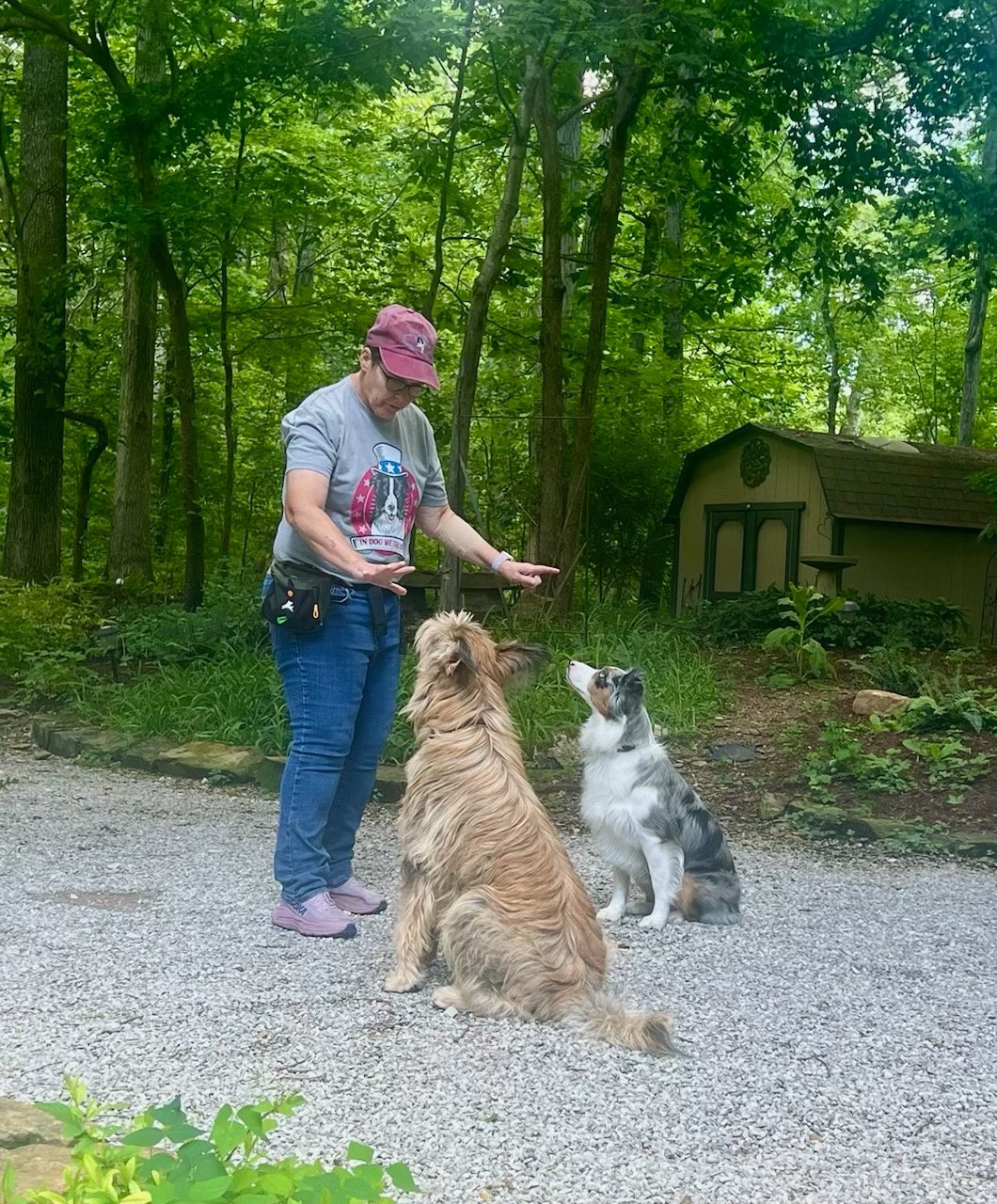 Alice Waltermire giving hand signals to two dogs during obedience training