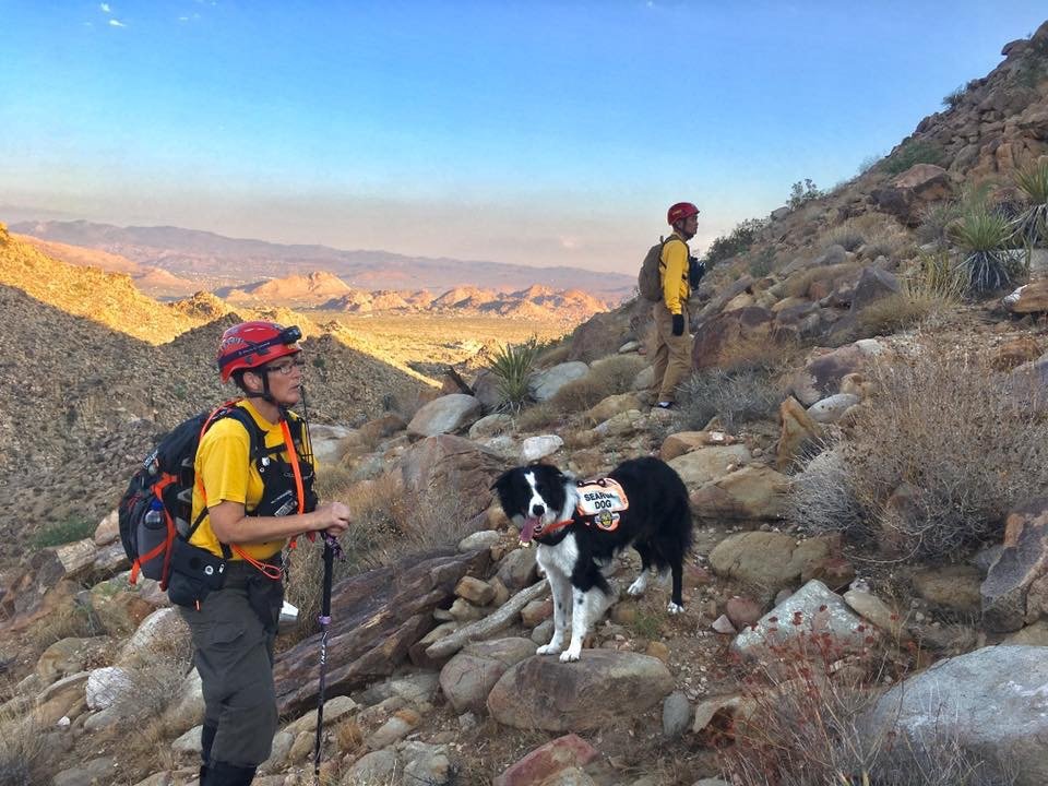 Alice Waltermire in search-and-rescue gear with her border collie search dog on a rocky ridge at Joshua Tree National Park