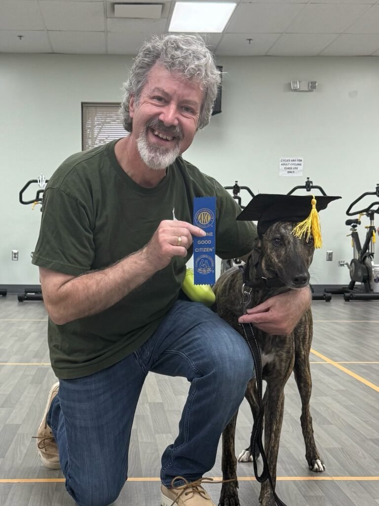 A proud owner kneels beside his greyhound wearing a graduation cap and blue ribbon at a Brown County K9 puppy class graduation