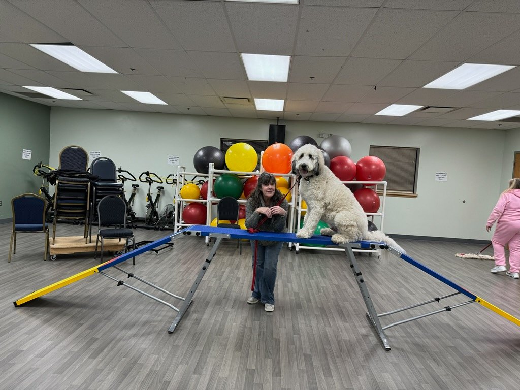 A student and her doodle on the agility bridge during a Brown County K9 group class at the Brown County YMCA