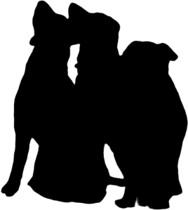 Silhouette of two sitting dogs facing Alice, right